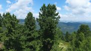 Archived webcam image showing mountain 