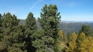 Archived webcam image showing mountain 