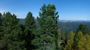 Archived webcam image showing mountain 