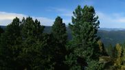 Archived webcam image showing mountain 