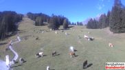 Archived webcam image showing mountain station 