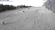 Archiviertes Webcam Bild: St. Englmar: Predigtstuhl Piste am 12.07.2026 um 04:38 Uhr
