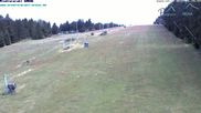 Archiviertes Webcam Bild: St. Englmar: Predigtstuhl Piste am 12.07.2026 um 16:38 Uhr