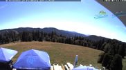 Archiviertes Webcam Bild: Feldberg: Todtnauer Hütte am 12.07.2026 um 14:47 Uhr