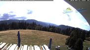 Archiviertes Webcam Bild: Feldberg: Todtnauer Hütte am 21.09.2026 um 14:00 Uhr