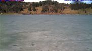 Archiviertes Webcam Bild: Großer Alpsee (Immenstadt) am 26.02.2026 um 14:44 Uhr