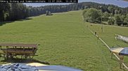 Archiviertes Webcam Bild: Schlepplift Ödberg am 12.07.2026 um 10:38 Uhr