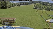 Archiviertes Webcam Bild: Schlepplift Ödberg am 12.07.2026 um 14:38 Uhr