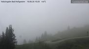Archiviertes Webcam Bild: Bad Hofgastein: Haitzingalm am 10.06.2026 um 10:20 Uhr