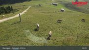 Archived webcam image showing Terrain Park Obereggen on 13 Aug 2026 at 09:18