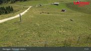 Archived webcam image showing Terrain Park Obereggen on 13 Aug 2026 at 11:18
