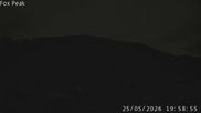 Archiviertes Webcam Bild: Fox Peak Talstation am Meadow Lift am 25.05.2026 um 10:19 Uhr