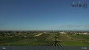 Archived webcam image showing Gols Town View on 12 Jun 2026 at 07:00