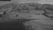 Archived webcam image showing Thredbo: The Cruiser on 11 Jun 2026 at 22:11