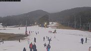 Archiviertes Webcam Bild: Thredbo: Friday Flat am 28.06.2026 um 08:23 Uhr