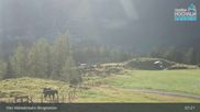 Archiviertes Webcam Bild: Rauris - Waldalmbahn Bergstation am 26.08.2026 um 07:20 Uhr