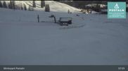Archived webcam image showing Postalm: Magic Carpet on 26.02.2026 at 08:56