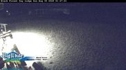 Archiviertes Webcam Bild: Black Forest Day Lodge am 30.08.2026 um 10:28 Uhr
