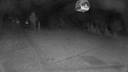 Archived webcam image showing Mammoth Mountain - Panorama Gondola on 22 Aug 2026 at 10:45