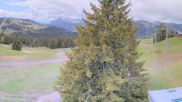 Archived webcam image showing Les Chavannes Top Station on 12 May 2026 at 14:11