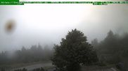 Archiviertes Webcam Bild: Brotterode am 27.07.2026 um 06:35 Uhr
