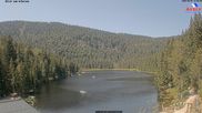 Archiviertes Webcam Bild: Großer Arbersee am 03.08.2026 um 12:24 Uhr
