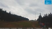 Archiviertes Webcam Bild: Schlepplift Jauerling - Talstation am 12.04.2026 um 10:12 Uhr