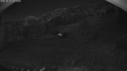 Archived webcam image showing Deer Park in Bridger Bowl Ski Resort on 15 Jun 2026 at 12:00