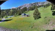 Archived webcam image showing Deer Park in Bridger Bowl Ski Resort on 15 Jun 2026 at 16:00