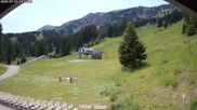 Archiviertes Webcam Bild: Bridger Bowl: Deer Park am 13.07.2026 um 22:56 Uhr