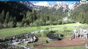 Archiviertes Webcam Bild: Gernalm bei Pertisau am 29.05.2026 um 08:42 Uhr