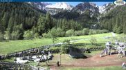Archiviertes Webcam Bild: Gernalm bei Pertisau am 29.05.2026 um 10:42 Uhr