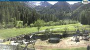 Archiviertes Webcam Bild: Gernalm bei Pertisau am 29.05.2026 um 16:42 Uhr