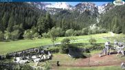 Archiviertes Webcam Bild: Gernalm bei Pertisau am 12.07.2026 um 10:58 Uhr