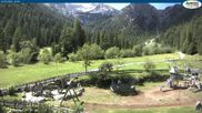Archiviertes Webcam Bild: Gernalm bei Pertisau am 12.07.2026 um 12:58 Uhr
