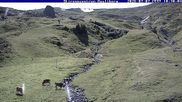 Archived webcam image showing Ski Racing Center Meiringen-Hasliberg on 7 Jul 2026 at 10:00
