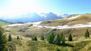 Archived webcam image showing View Arosa Bear Sanctuary on 24 May 2026 at 08:37