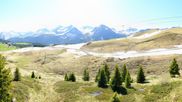 Archived webcam image showing View Arosa Bear Sanctuary on 24 May 2026 at 10:37