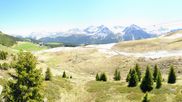 Archived webcam image showing View Arosa Bear Sanctuary on 24 May 2026 at 12:37