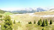 Archived webcam image showing View Arosa Bear Sanctuary on 24 May 2026 at 14:37