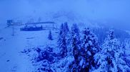 Archived webcam image showing View Arosa Bear Sanctuary on 5 Jun 2026 at 04:00