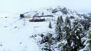 Archived webcam image showing View Arosa Bear Sanctuary on 5 Jun 2026 at 07:00