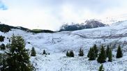 Archived webcam image showing View Arosa Bear Sanctuary on 5 Jun 2026 at 10:00