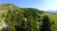 Archiviertes Webcam Bild: Blick auf das Arosa Bärenland am 31.07.2026 um 10:45 Uhr