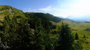 Archived webcam image showing View Arosa Bear Sanctuary on 4 Aug 2026 at 08:13