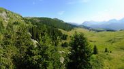 Archived webcam image showing View Arosa Bear Sanctuary on 4 Aug 2026 at 10:13