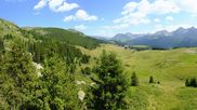 Archived webcam image showing View Arosa Bear Sanctuary on 4 Aug 2026 at 12:13
