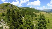 Archived webcam image showing View Arosa Bear Sanctuary on 4 Aug 2026 at 14:13