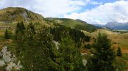 Archived webcam image showing View Arosa Bear Sanctuary on 3 Oct 2026 at 12:36