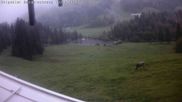 Archiviertes Webcam Bild: Balderschwang: Bergstation Gschwendlift am 10.10.2026 um 10:03 Uhr